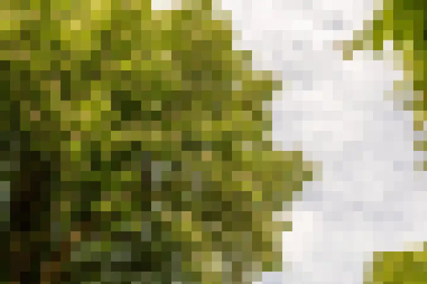 Peperstraat 5 Haastrecht thumbnail 65