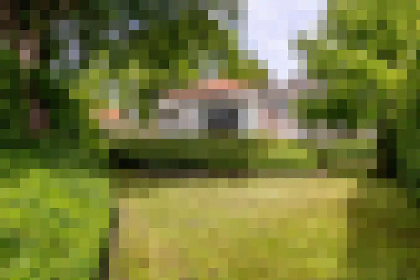 Peperstraat 5 Haastrecht thumbnail 66