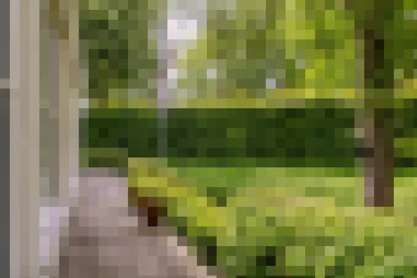 Peperstraat 5 Haastrecht thumbnail 69