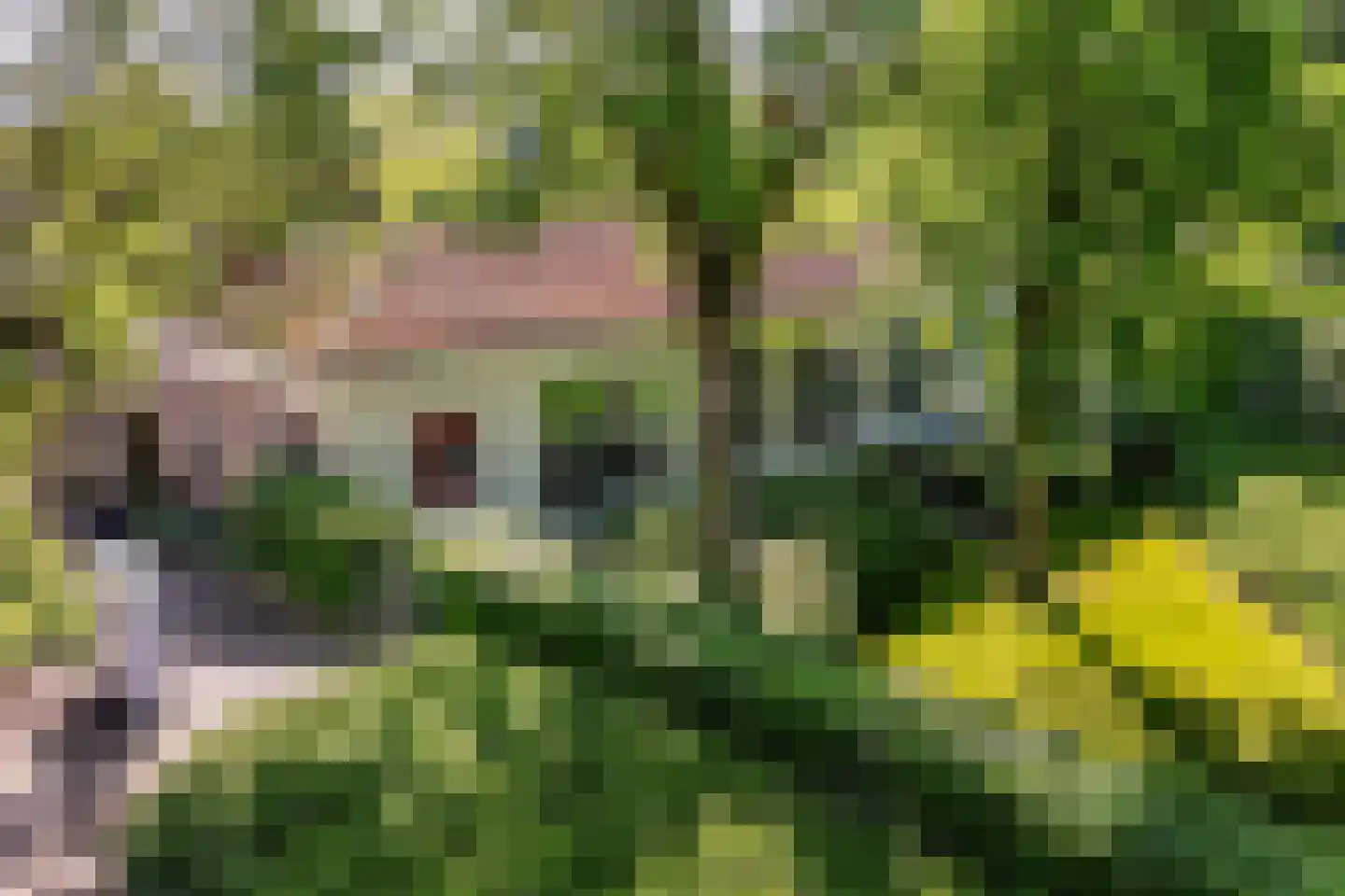 Peperstraat 5 Haastrecht thumbnail 7