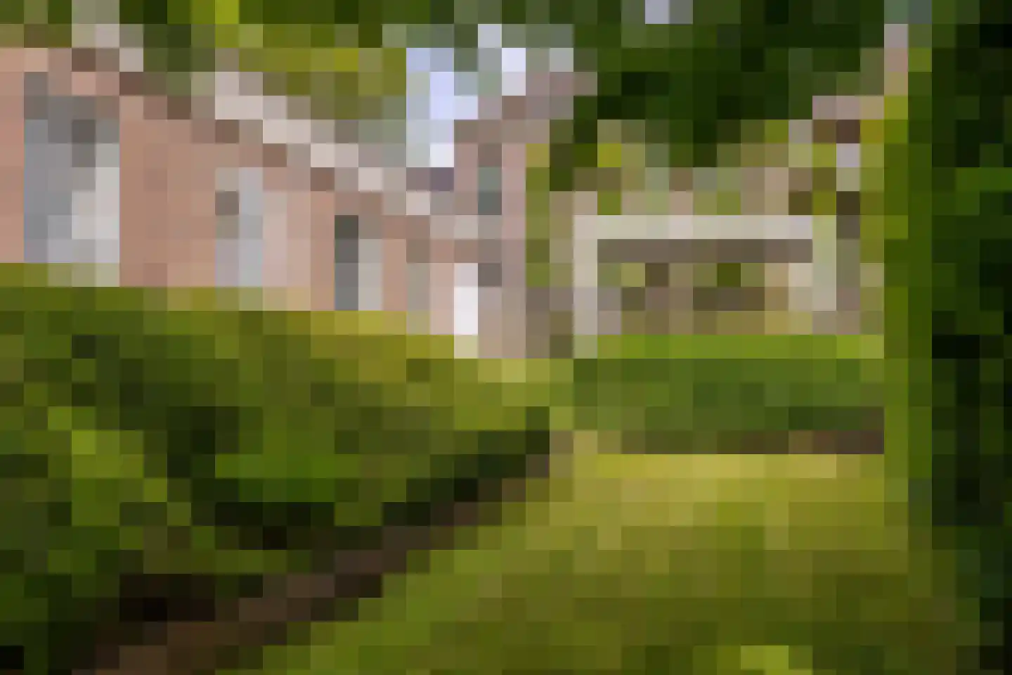 Peperstraat 5 Haastrecht thumbnail 70