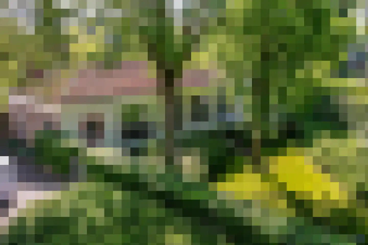 Peperstraat 5 Haastrecht thumbnail 71