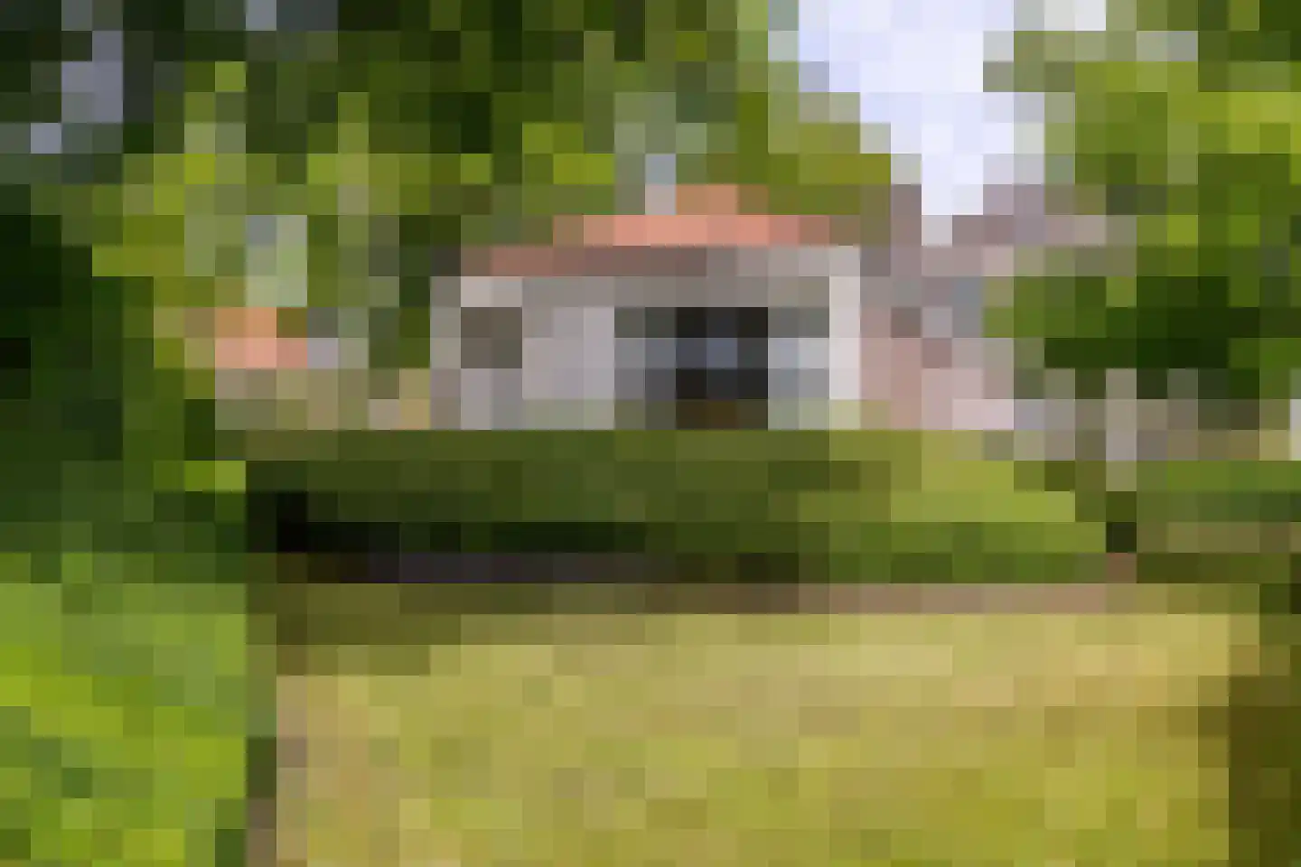 Peperstraat 5 Haastrecht thumbnail 8
