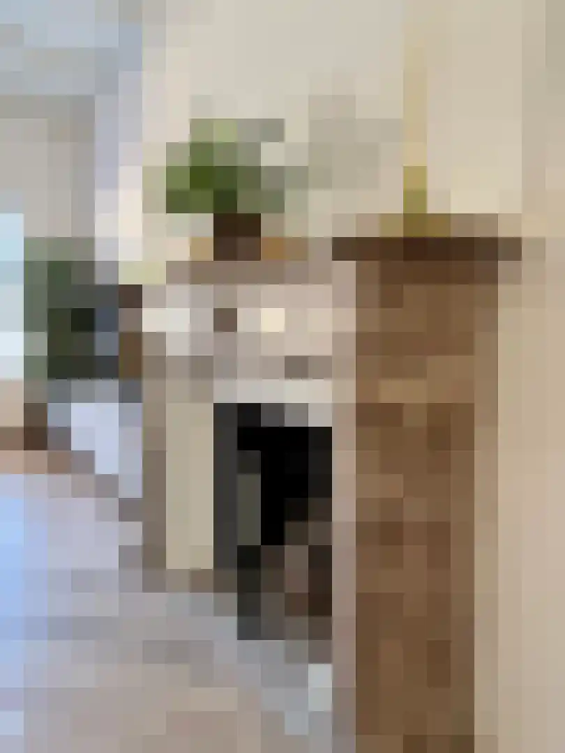 Peperstraat 5 's-Hertogenbosch thumbnail 5