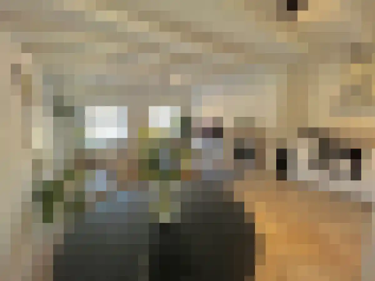 Peperstraat 5 's-Hertogenbosch thumbnail 6