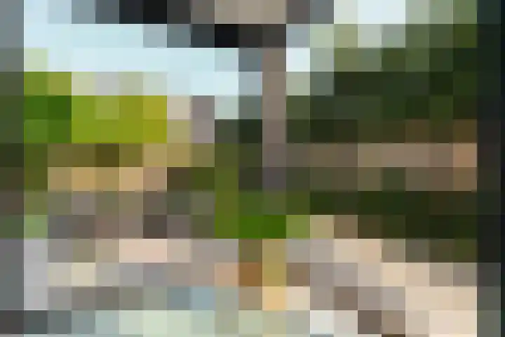Peperstraat 51 g Oosterhout thumbnail 15