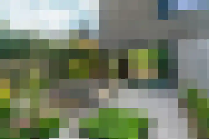 Peperstraat 51 g Oosterhout thumbnail 16