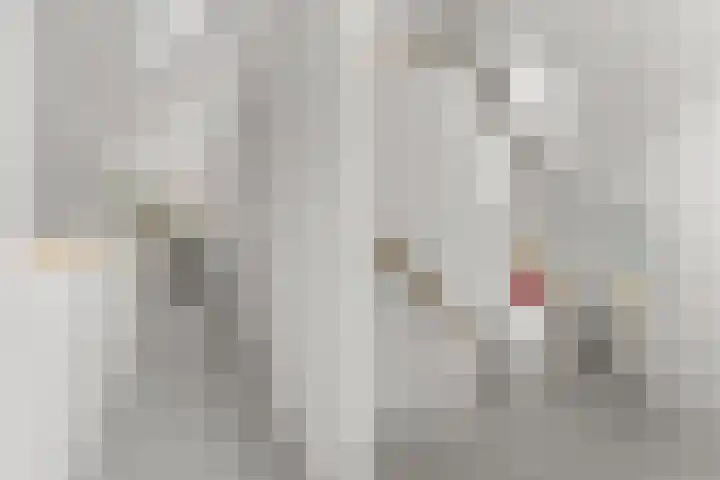 Peperstraat 51 g Oosterhout thumbnail 24