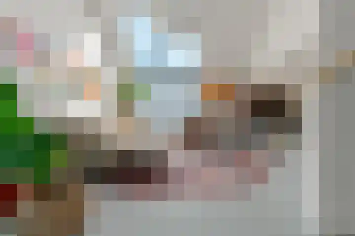 Peperstraat 51 g Oosterhout thumbnail 33