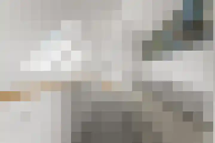 Peperstraat 51 g Oosterhout thumbnail 39