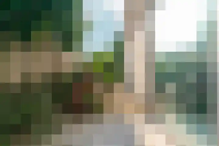 Peperstraat 51 g Oosterhout thumbnail 41