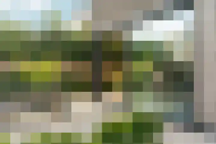 Peperstraat 51 g Oosterhout thumbnail 43