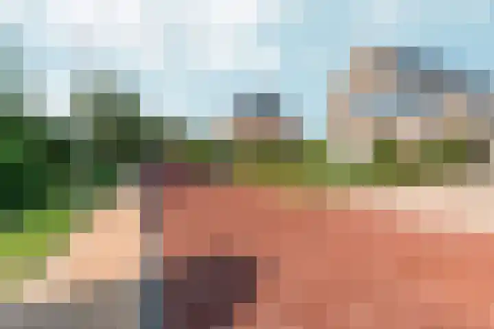 Peperstraat 51 g Oosterhout thumbnail 45