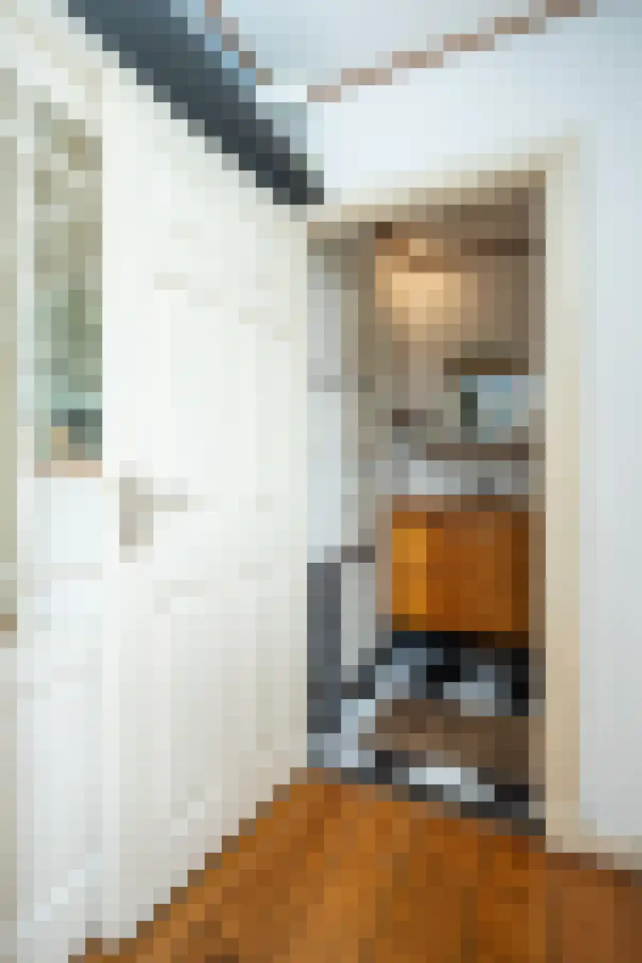 Peperstraat 51 Oosterend thumbnail 22