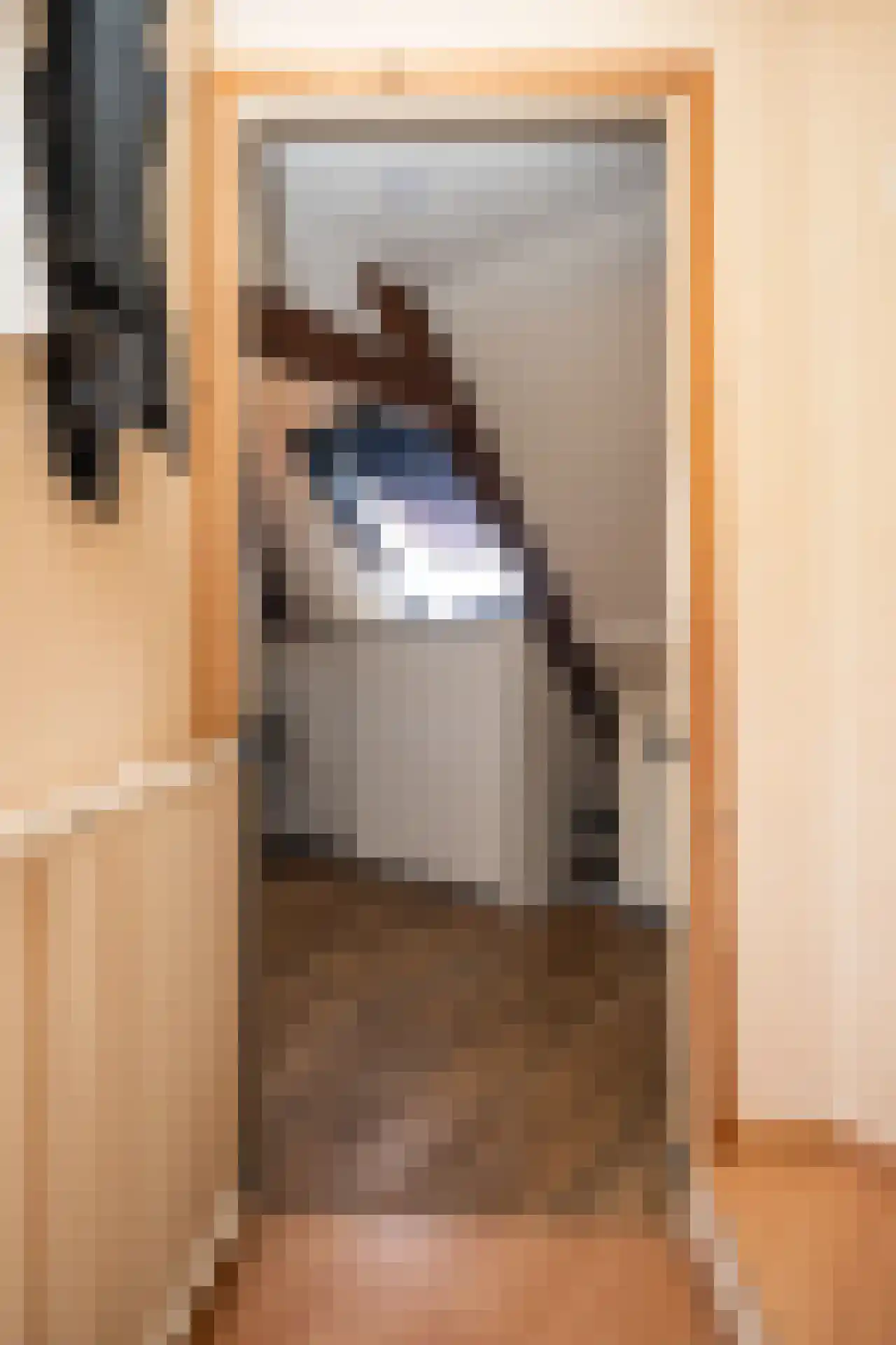 Peperstraat 51 Oosterend thumbnail 25