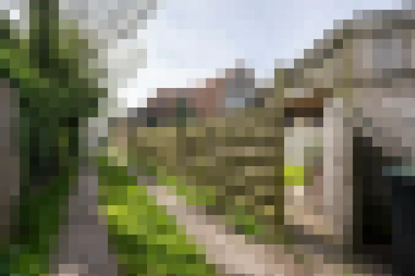 Peperstraat 51 Oosterend thumbnail 40