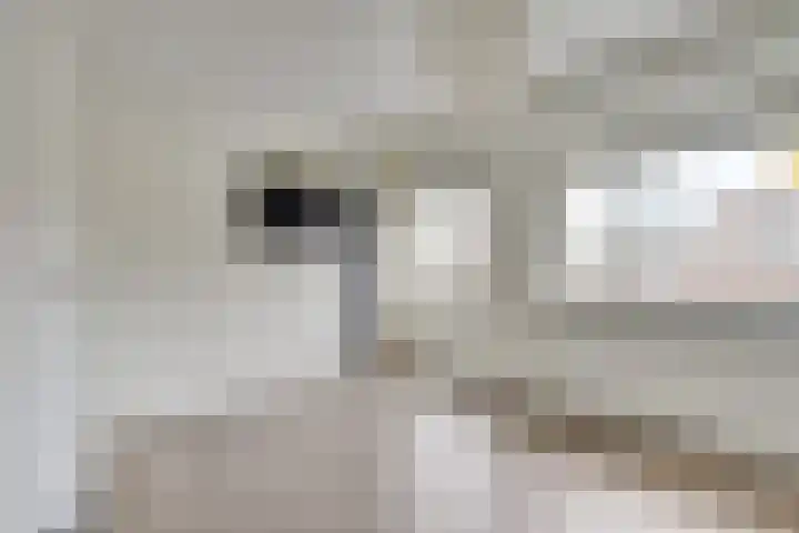 Peperstraat 6 Eindhoven thumbnail 12