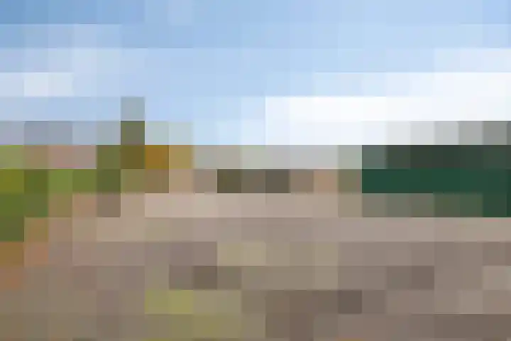 Peperstraat 70 Bruchem thumbnail 50