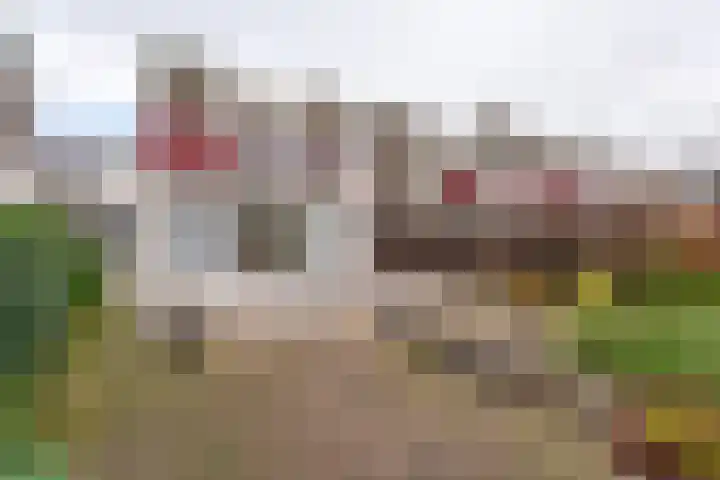 Peperstraat 72 Voorhout thumbnail 29