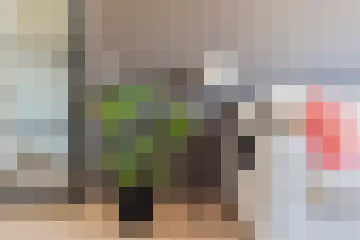 Peperstraat 74 Beverwijk thumbnail 7
