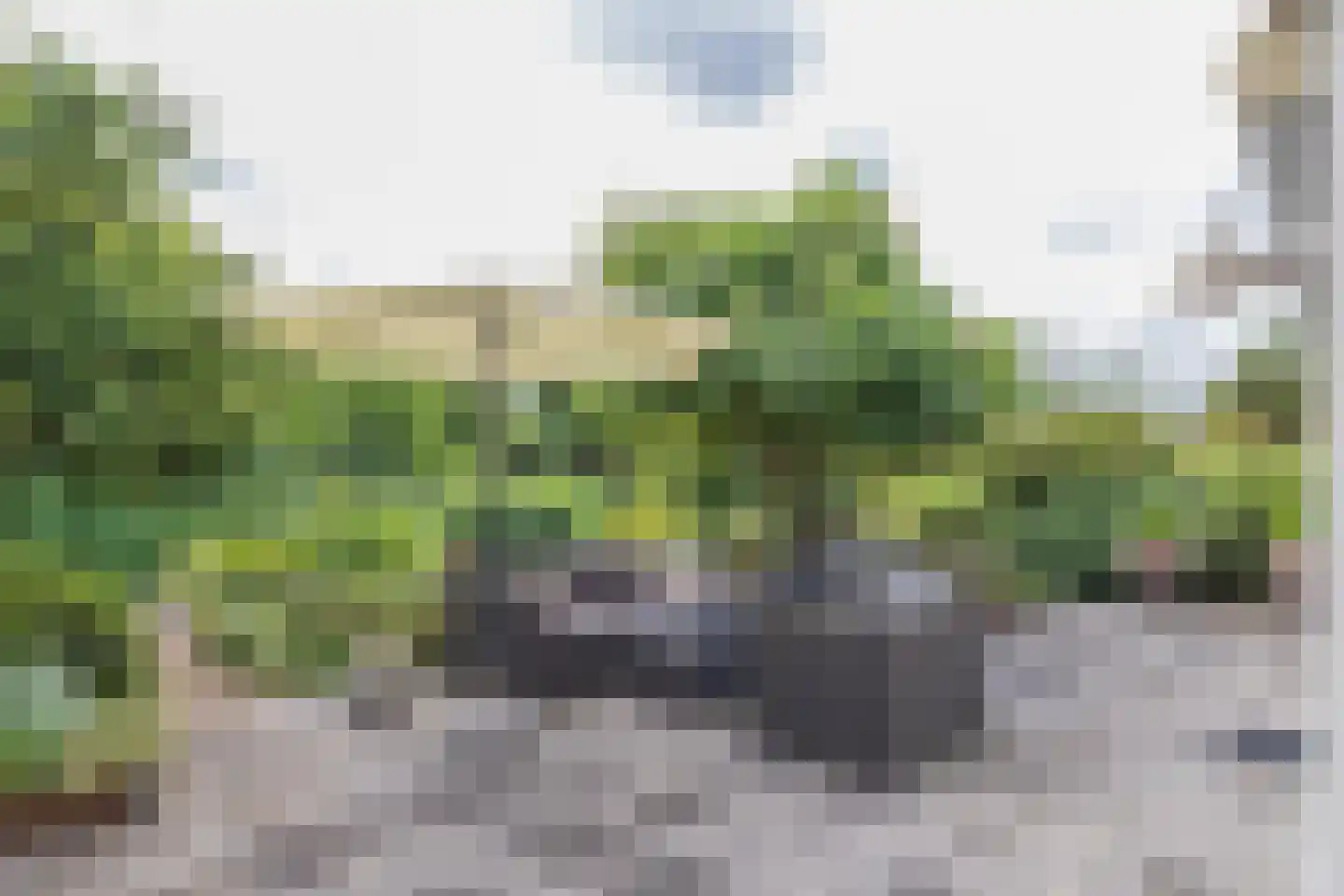 Peperstraat 76 Voorhout thumbnail 31
