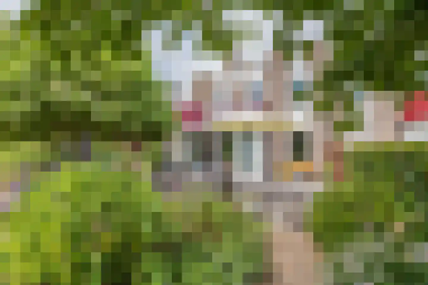 Peperstraat 76 Voorhout thumbnail 33