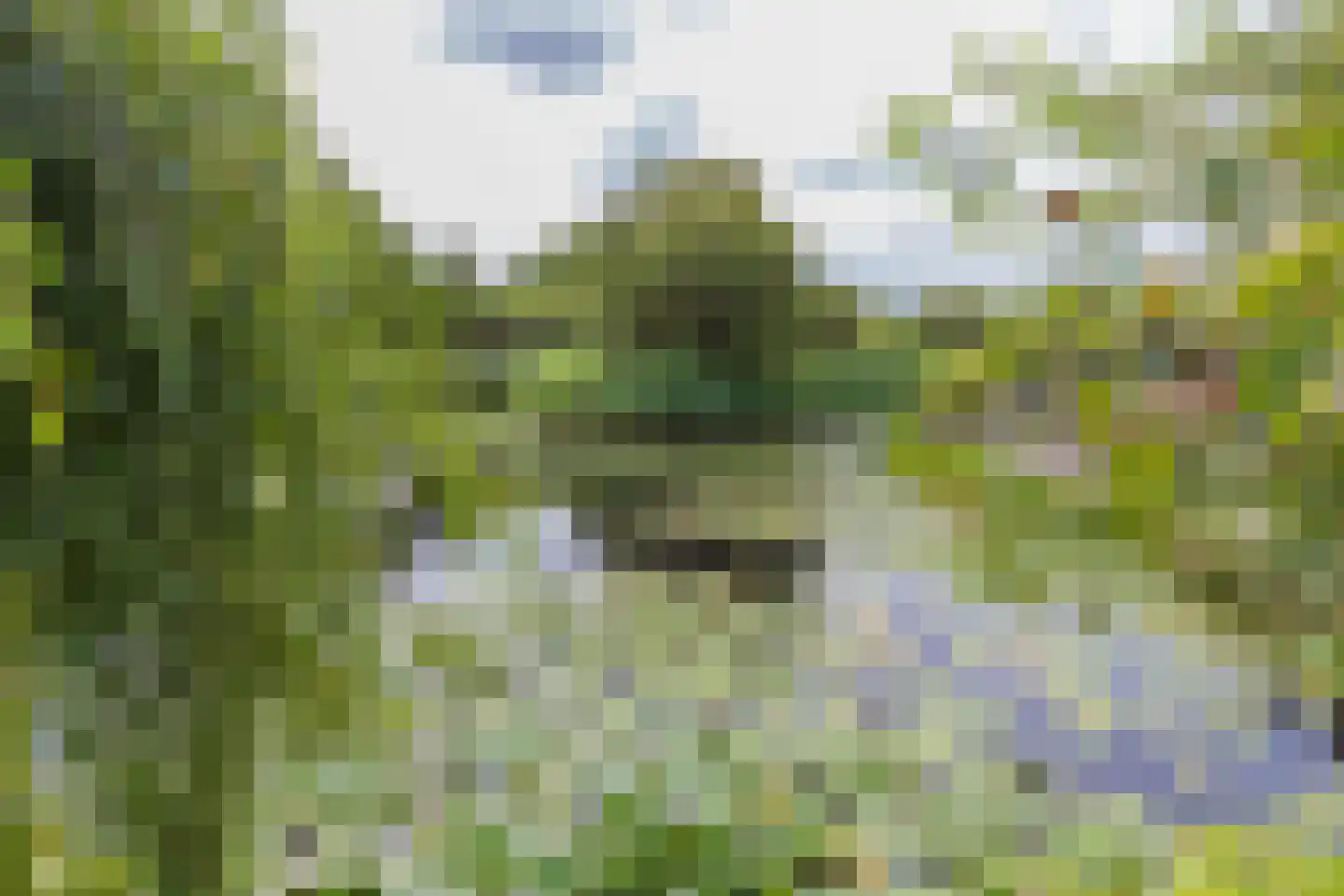 Peperstraat 76 Voorhout thumbnail 36
