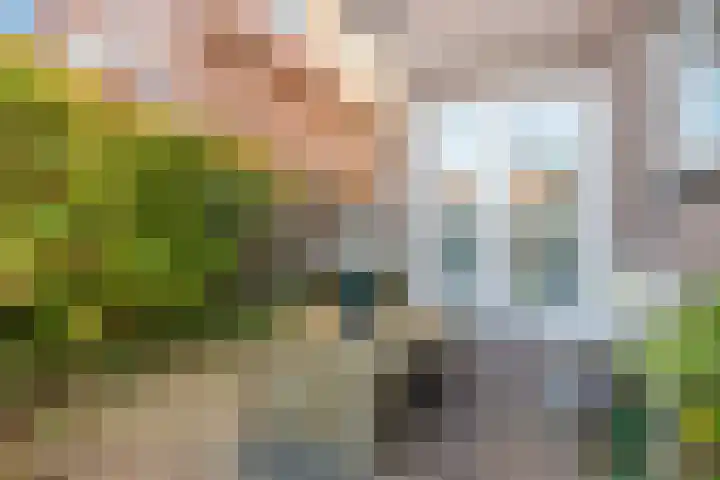 Peperstraat 8 Egmond-Binnen thumbnail 26