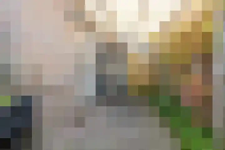 Peperstraat 8 Egmond-Binnen thumbnail 31