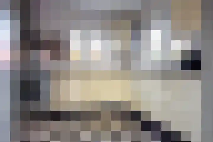 Peperstraat 8 Egmond-Binnen thumbnail 9