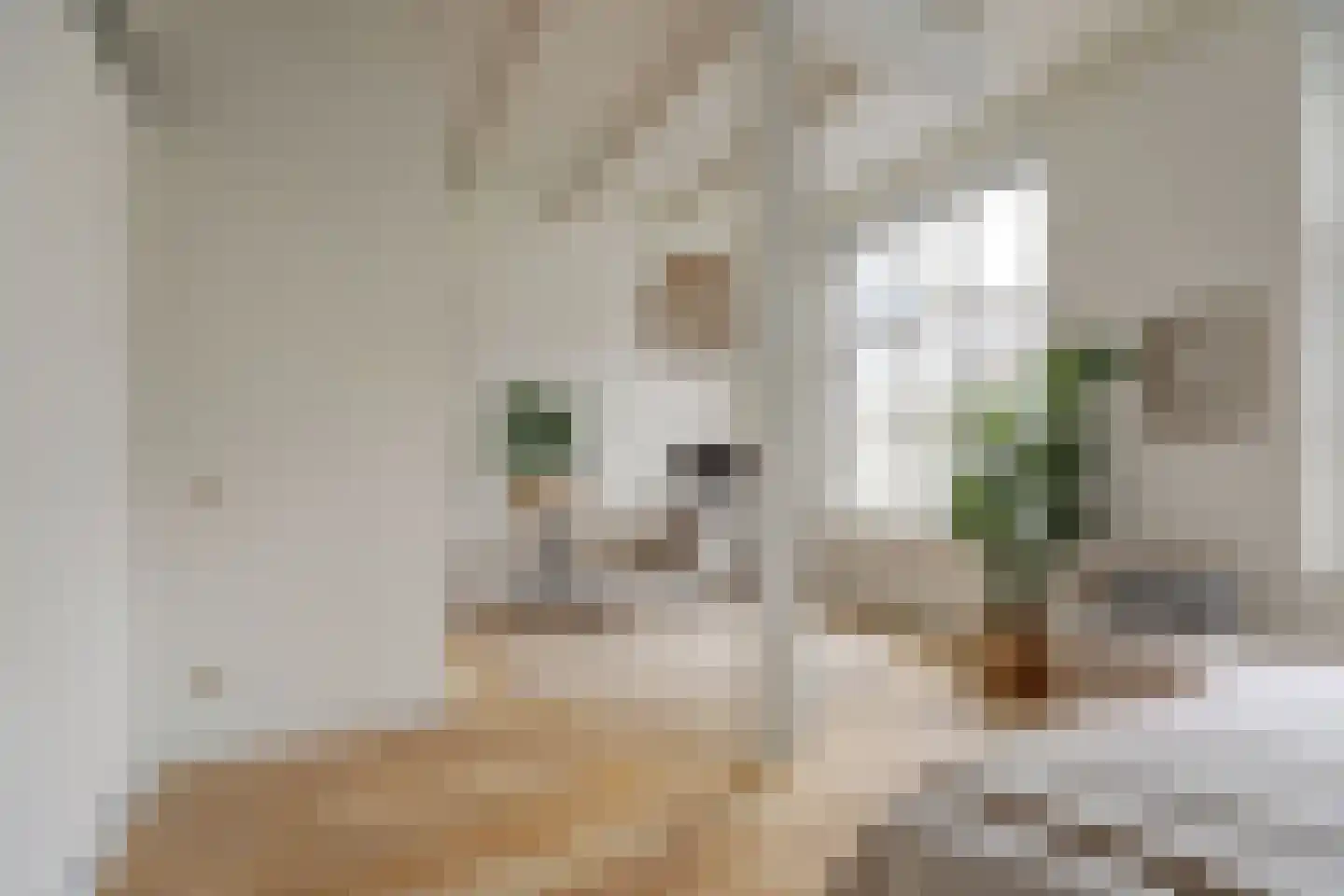 Peperstraat 8 Gouda thumbnail 23