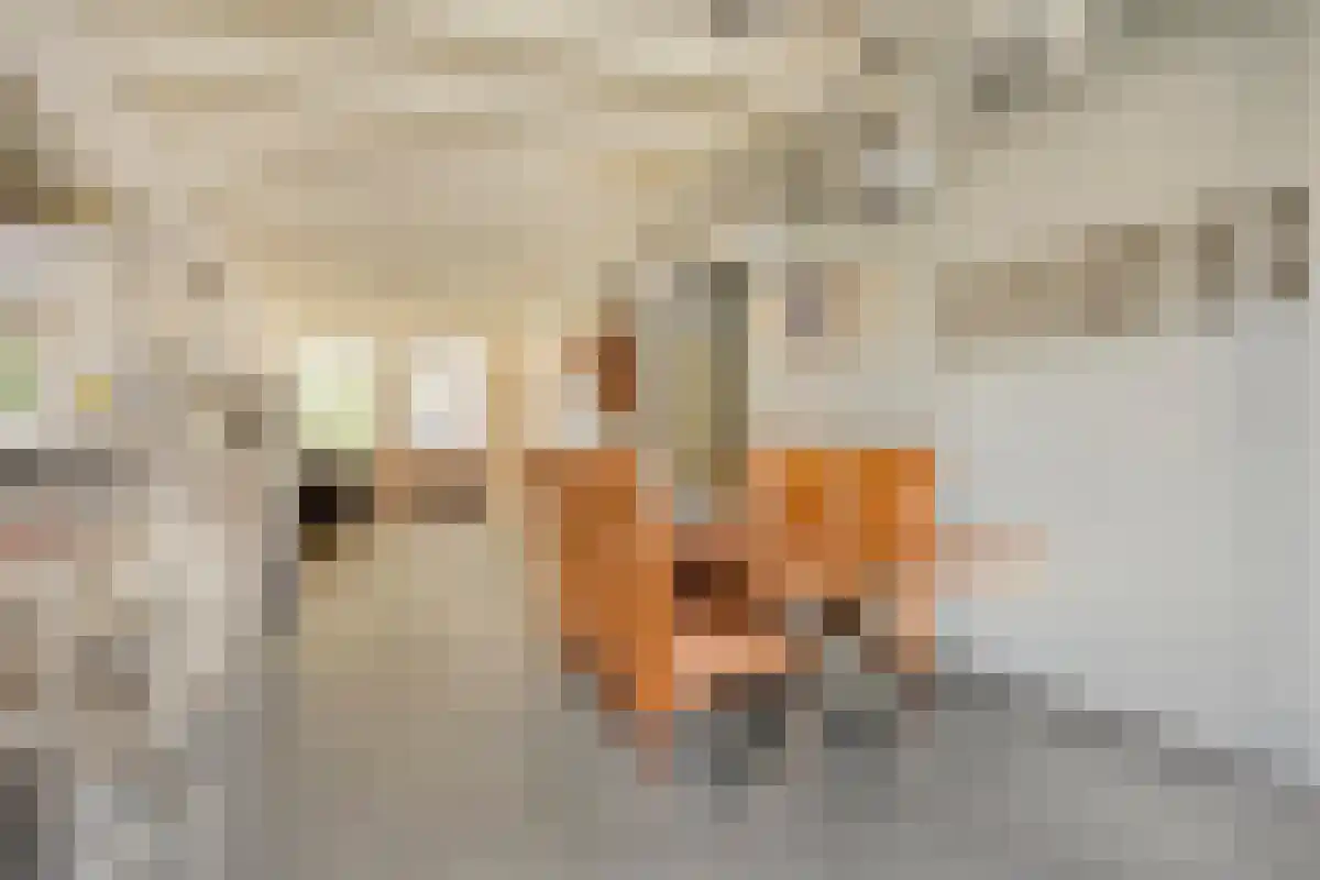 Peperstraat 8 Gouda thumbnail 6