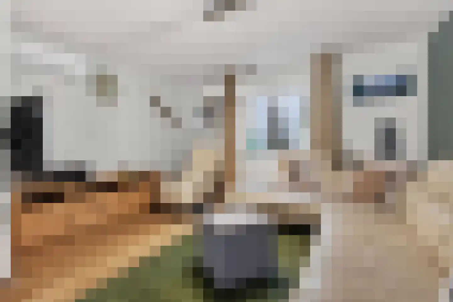 Peperstraat 8 Grevenbicht thumbnail 11