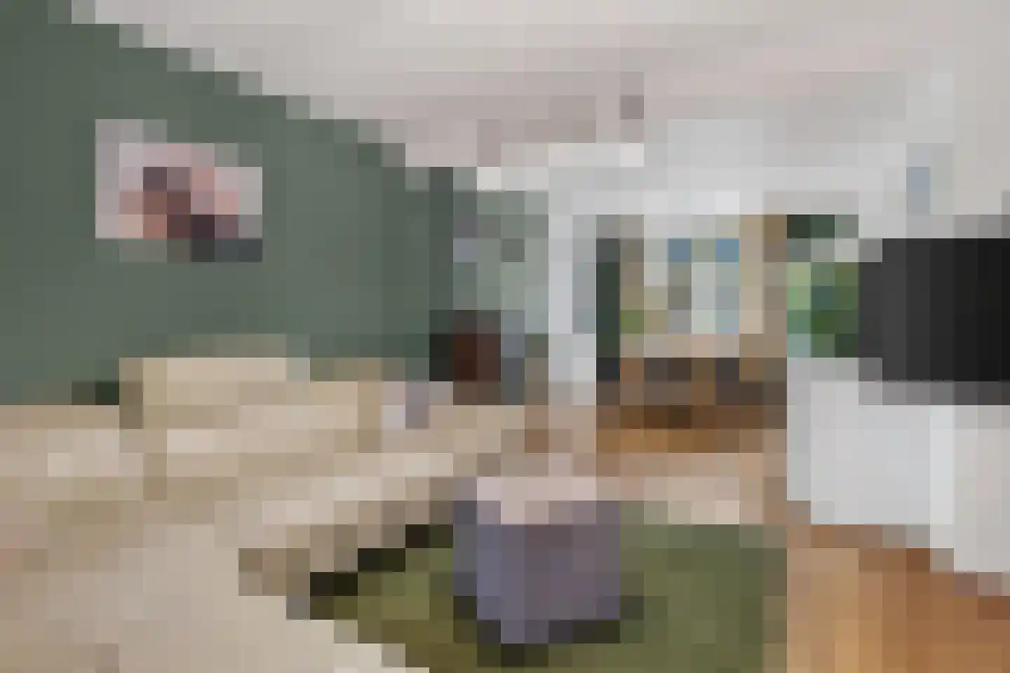 Peperstraat 8 Grevenbicht thumbnail 12