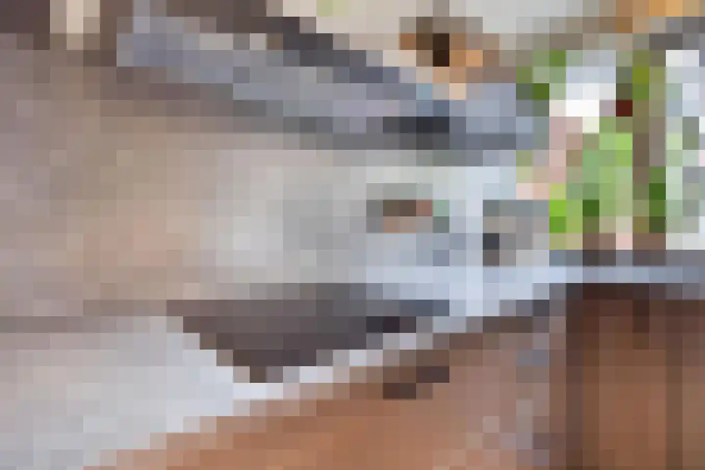 Peperstraat 8 Grevenbicht thumbnail 17