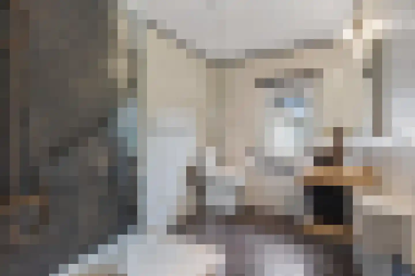 Peperstraat 8 Grevenbicht thumbnail 26