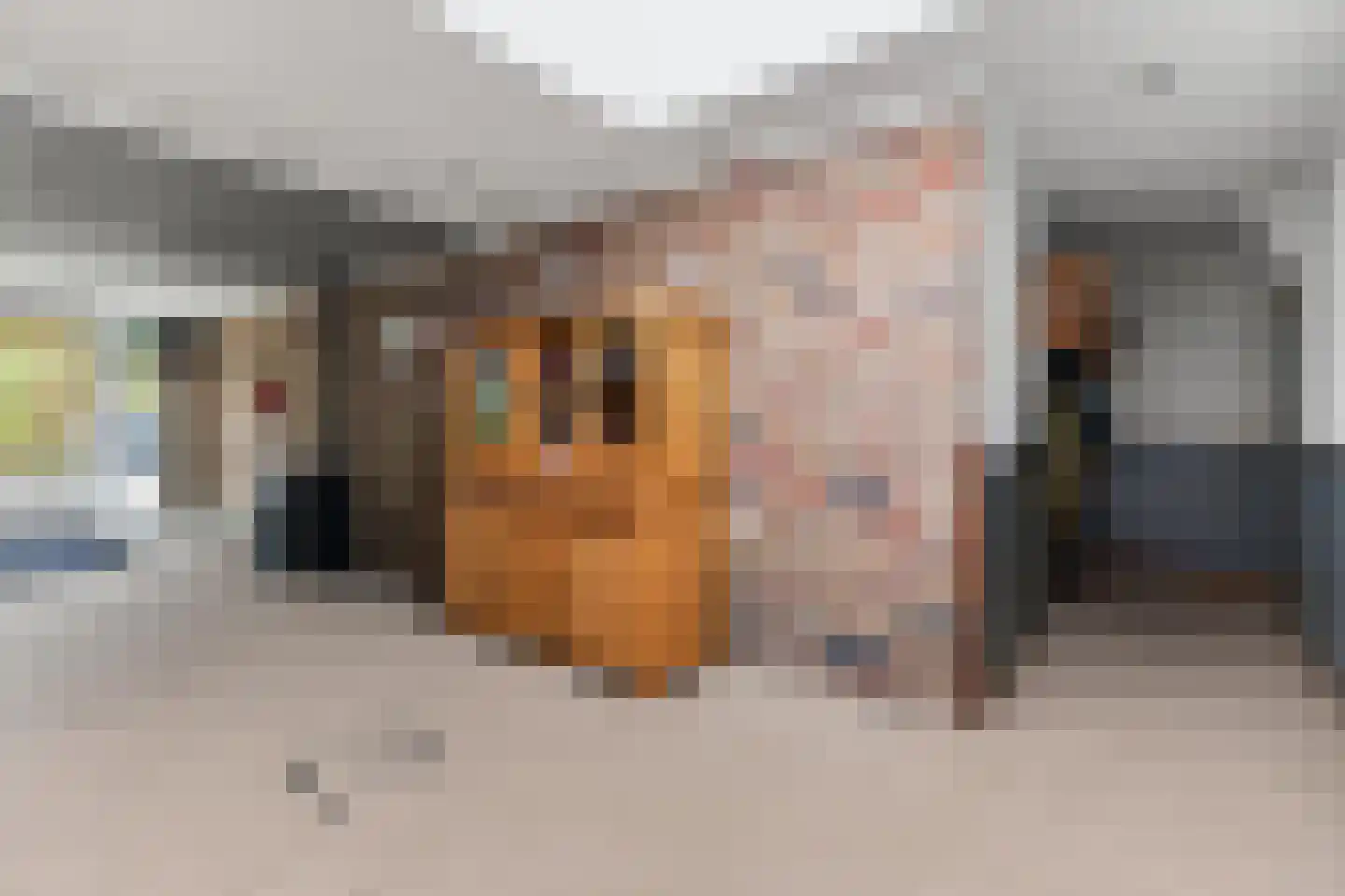 Peperstraat 8 Grevenbicht thumbnail 37