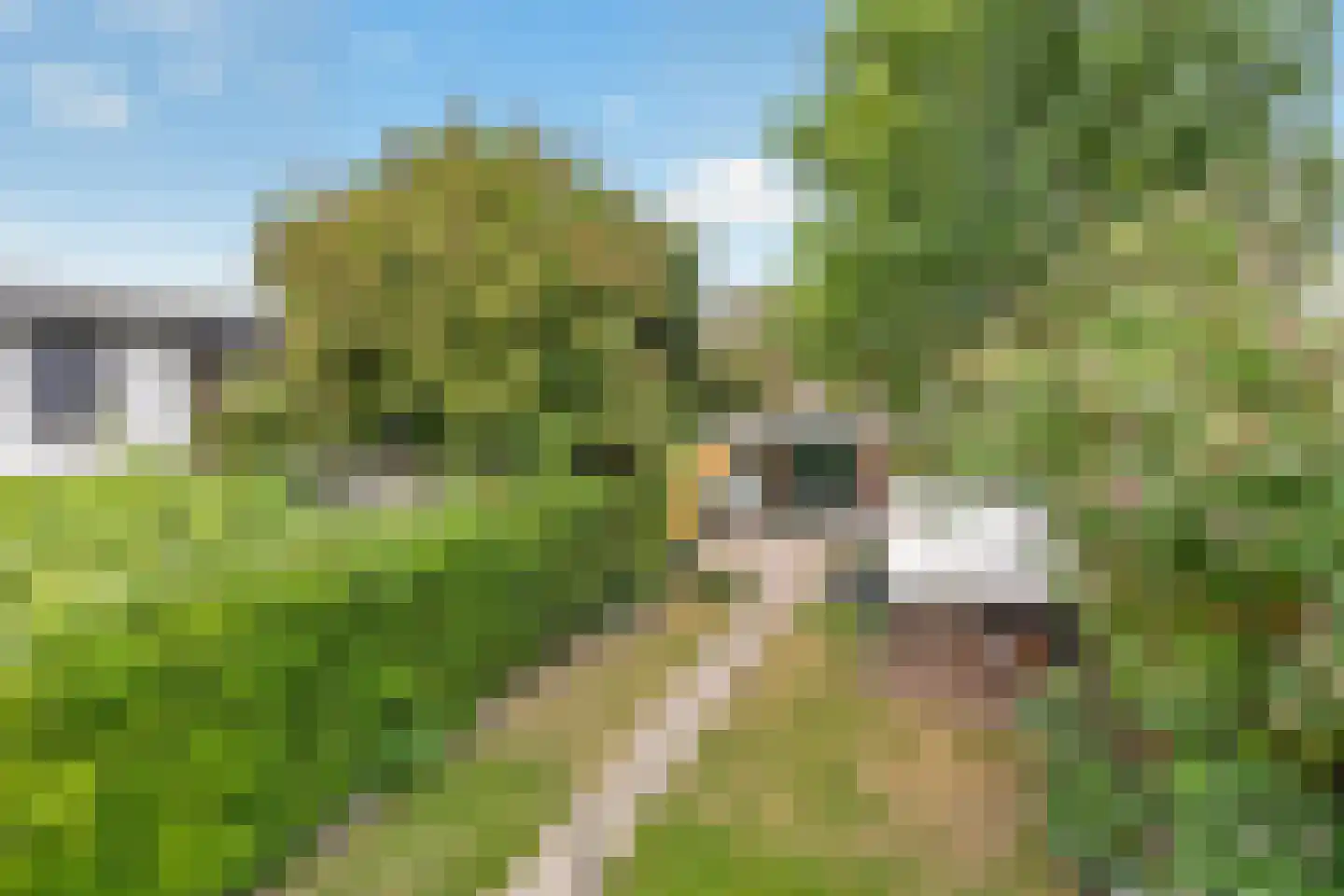 Peperstraat 8 Grevenbicht thumbnail 49