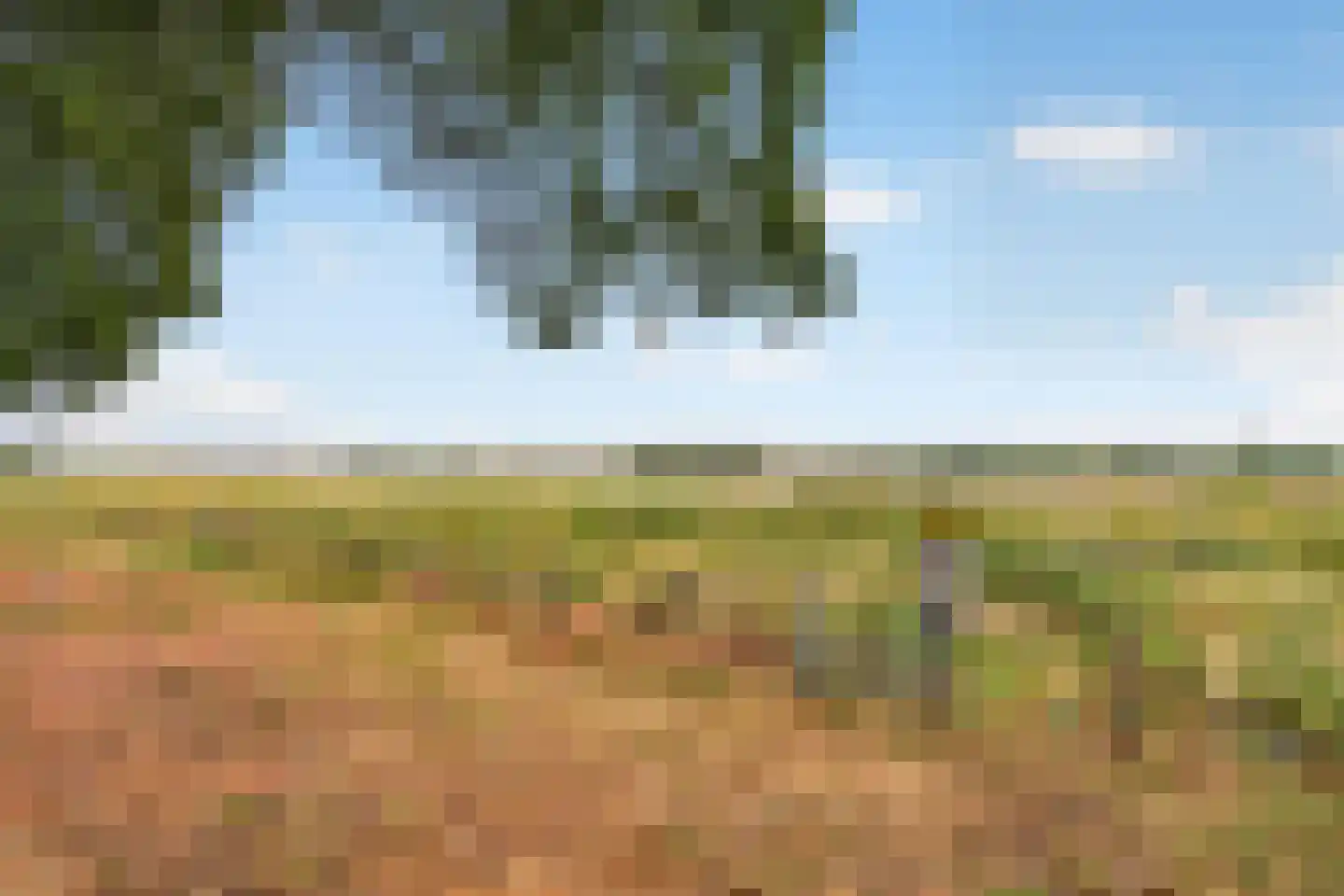 Peperstraat 8 Grevenbicht thumbnail 50