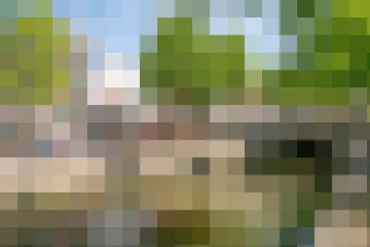 Peperstraat 8 Oudewater thumbnail 26