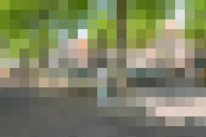 Peperstraat 8 Oudewater thumbnail 28