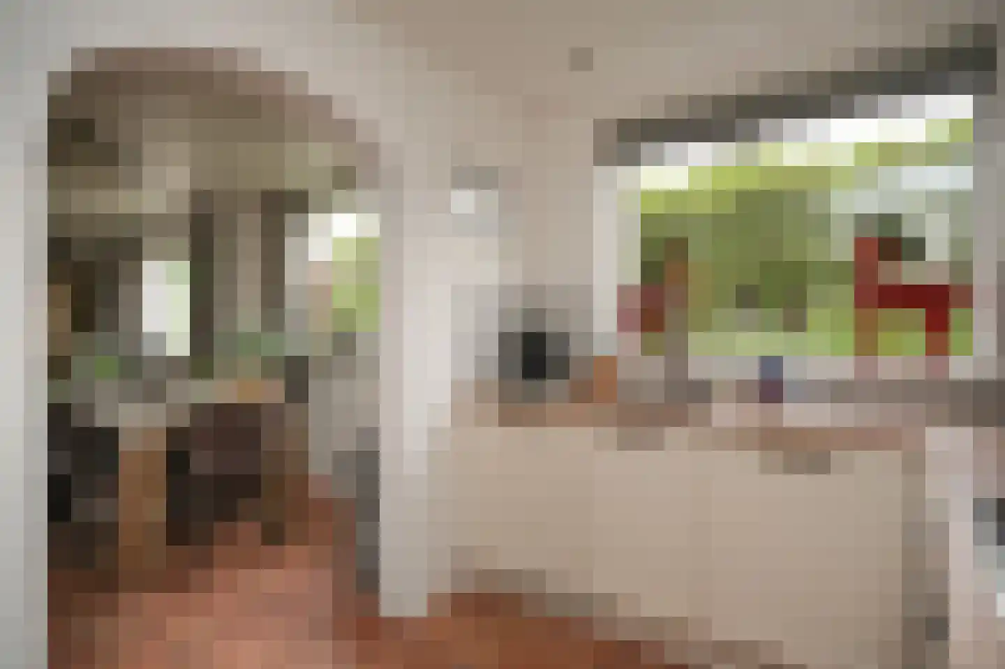 Peperstraat 9 Bruchem thumbnail 13