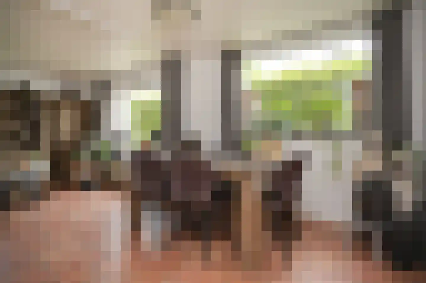 Peperstraat 9 Bruchem thumbnail 14