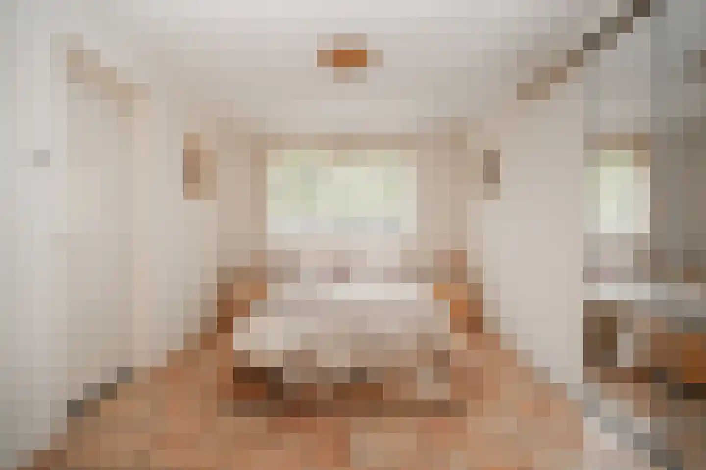 Peperstraat 9 Bruchem thumbnail 15