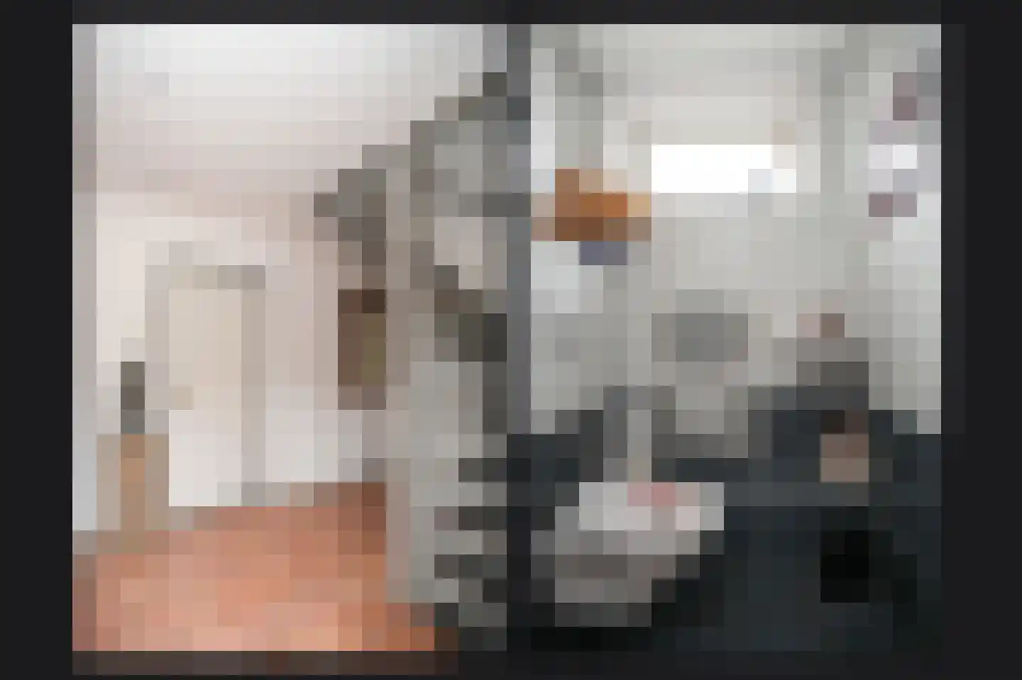 Peperstraat 9 Bruchem thumbnail 22