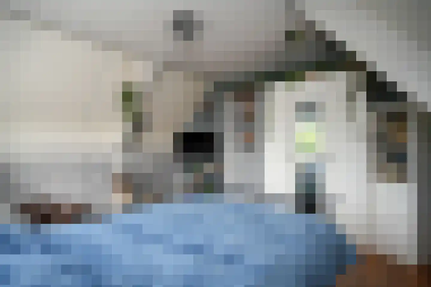 Peperstraat 9 Bruchem thumbnail 24