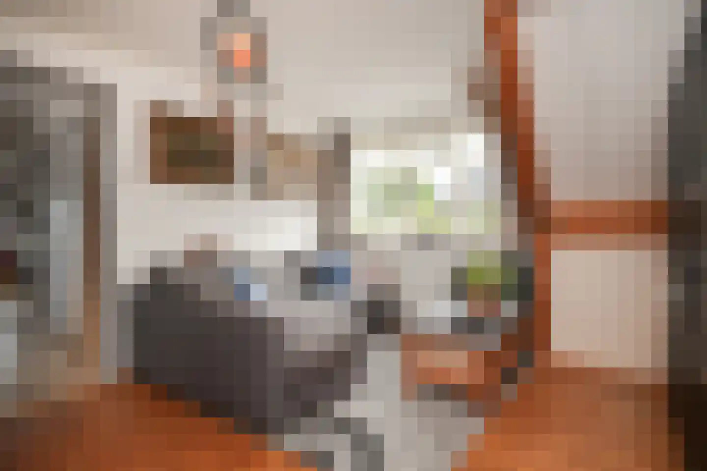 Peperstraat 9 Bruchem thumbnail 27