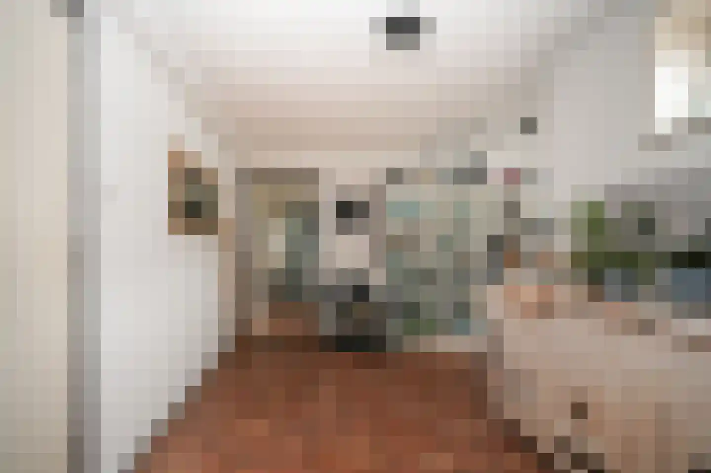 Peperstraat 9 Bruchem thumbnail 32