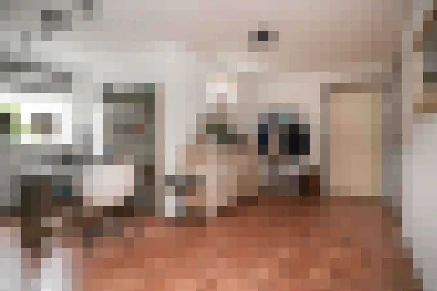 Peperstraat 9 Bruchem thumbnail 33