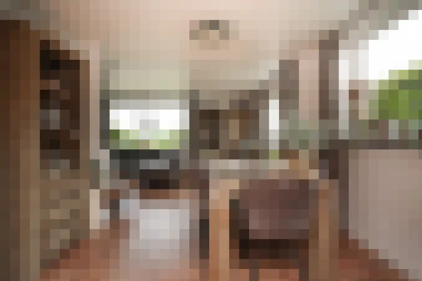 Peperstraat 9 Bruchem thumbnail 4